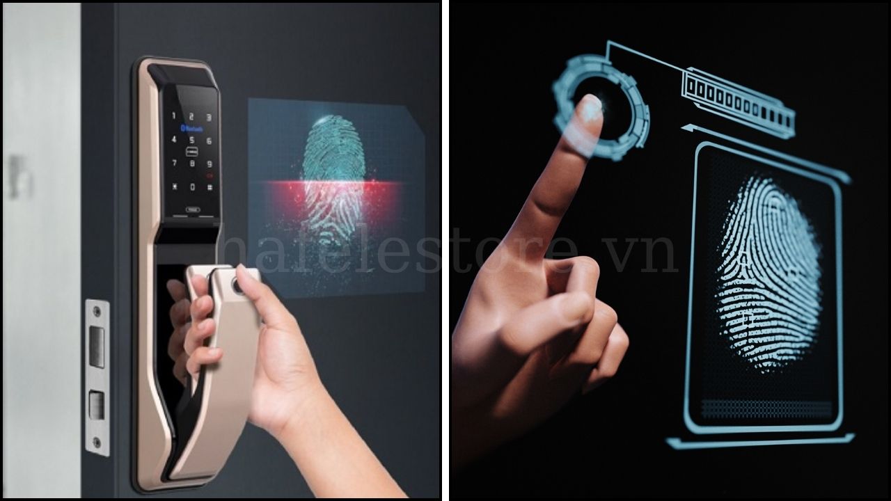 Công Nghệ Quét Vân Tay Life-Scan