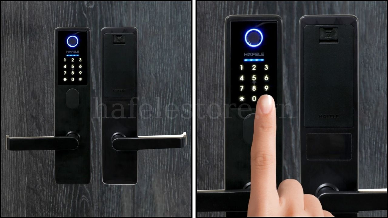 Khóa cửa vân tay Hafele